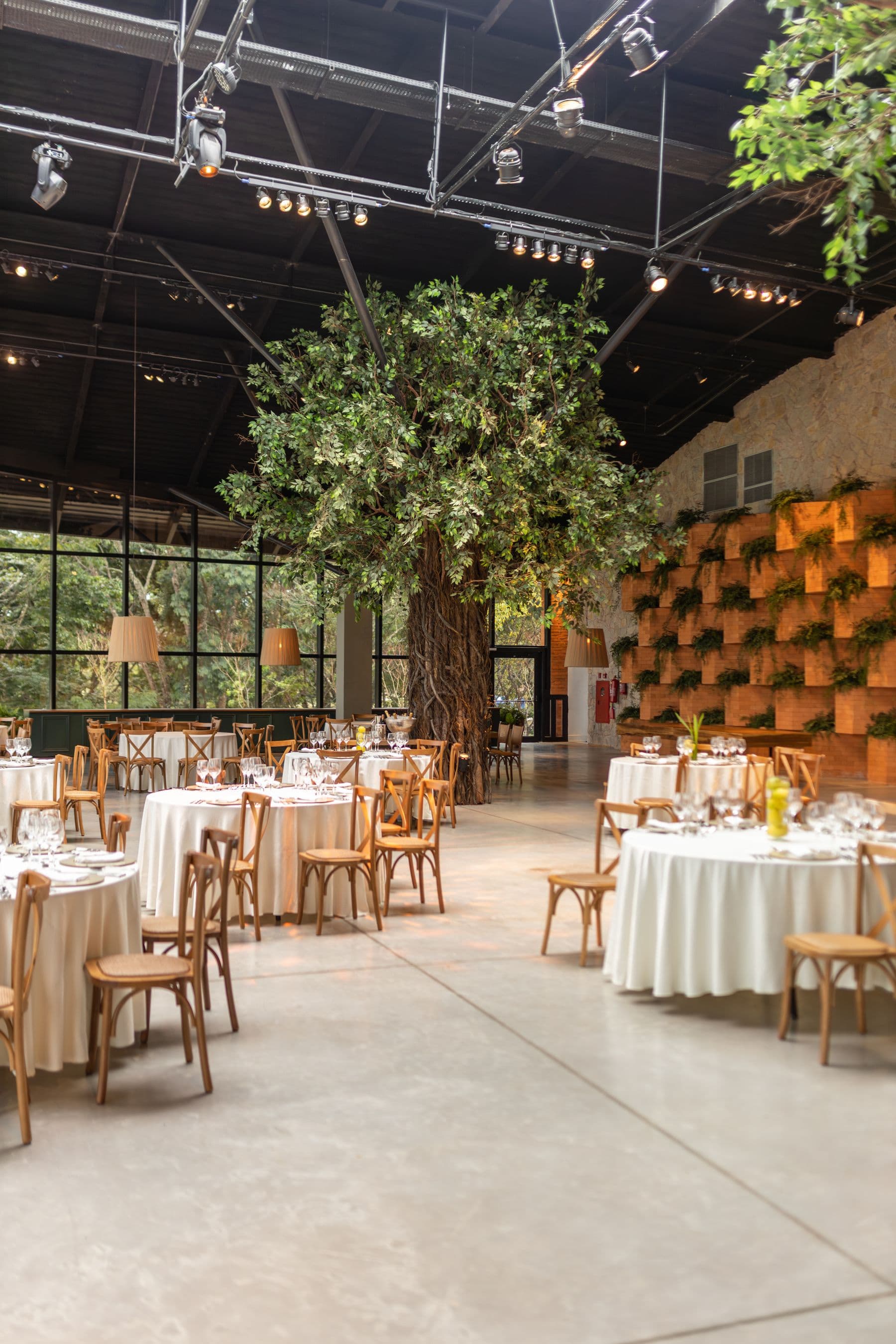 Dining tables under the tree at the back